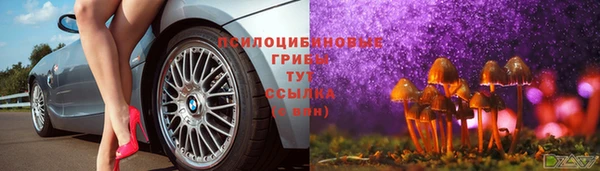 дмт Алексин