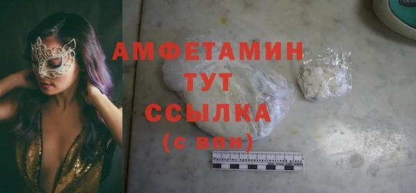 прущие грибы Переславль-Залесский