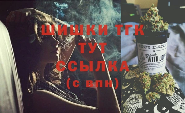 прущие грибы Переславль-Залесский
