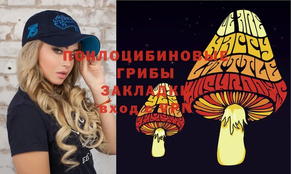 герыч Алзамай
