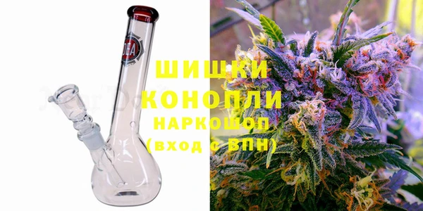 молекула духа Покров